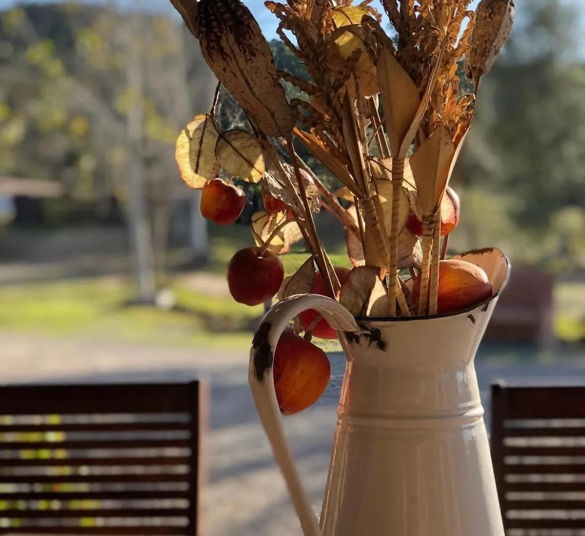 Finca Los Caleros Juan Gallegos 3*,  إسبانيا