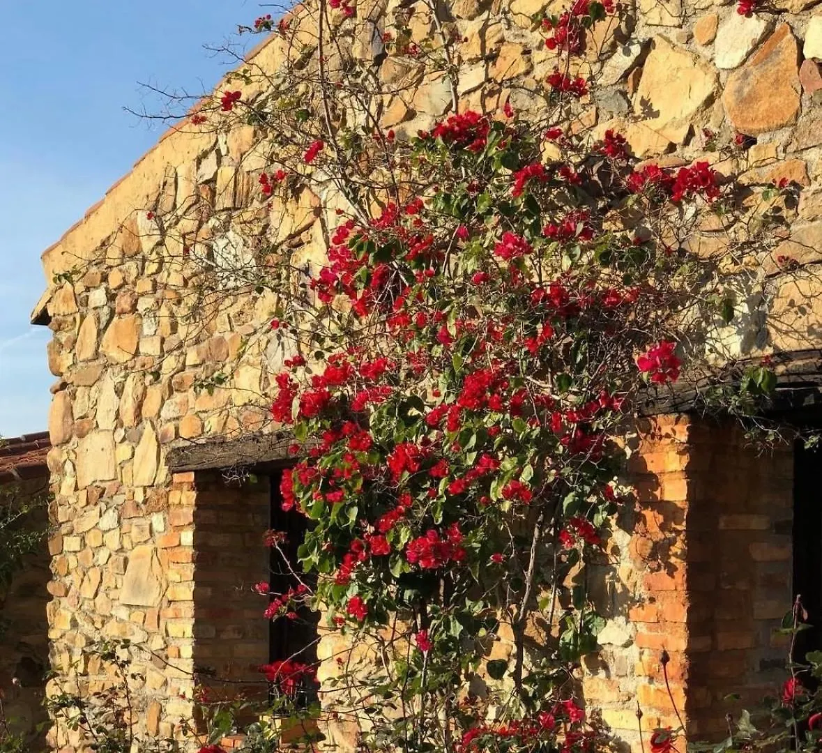 Finca Los Caleros Hotel Juan Gallegos